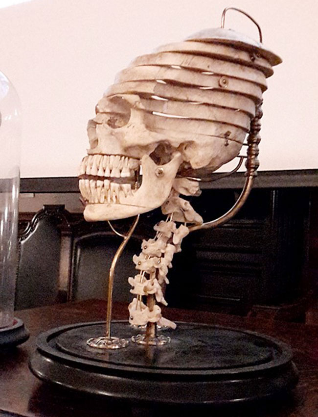 Dath Salon at Mütter Museum Philadelphia 2015